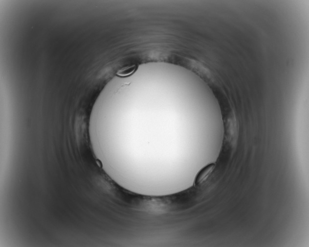 X0000086240522200704121936