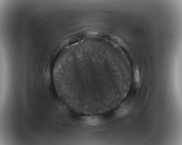 X0000086240524200704121936