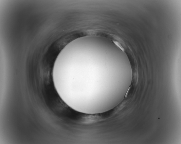 X0000086240525200704121936