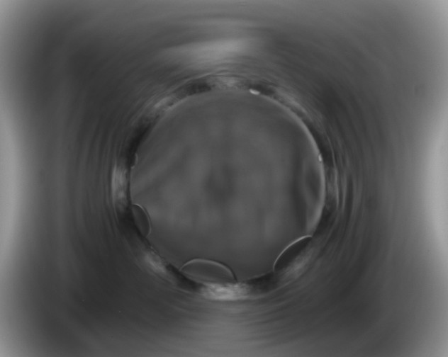 X0000086240526200704121936