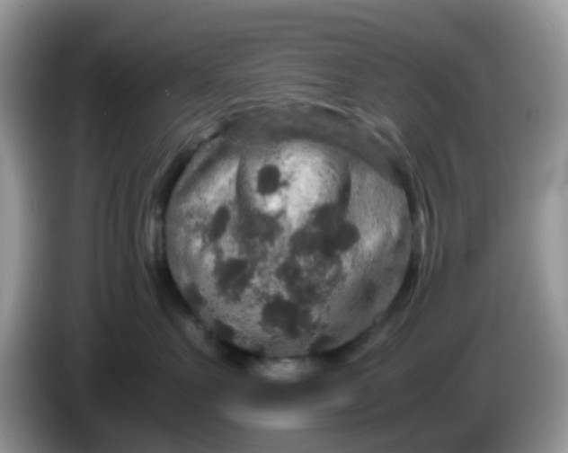 X0000086240527200704121936