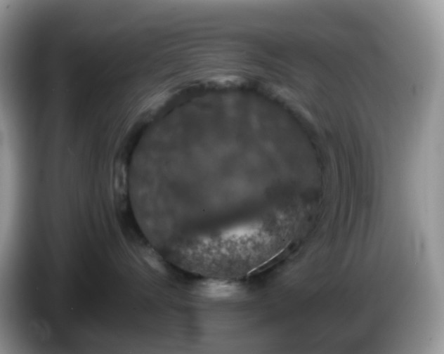 X0000086240528200704121936