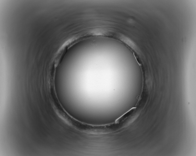 X0000086240530200704121935