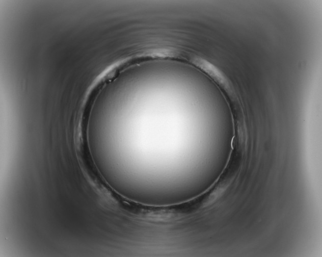 X0000086240532200704121935
