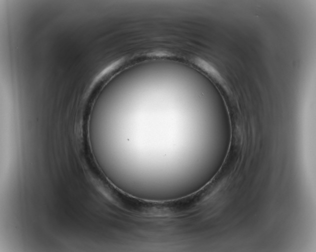 X0000086240535200704121935