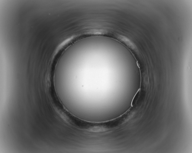 X0000086240536200704121935