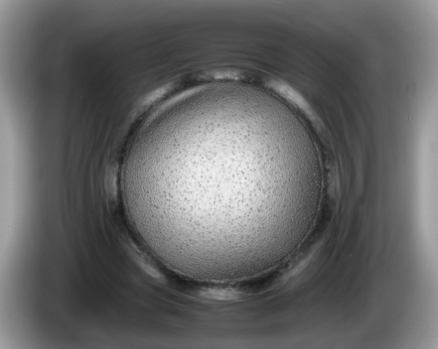 X0000086240537200704121935
