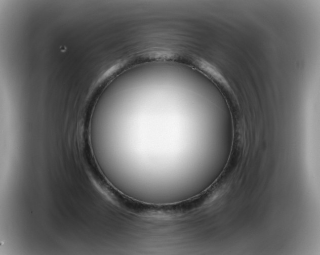 X0000086240538200704121935
