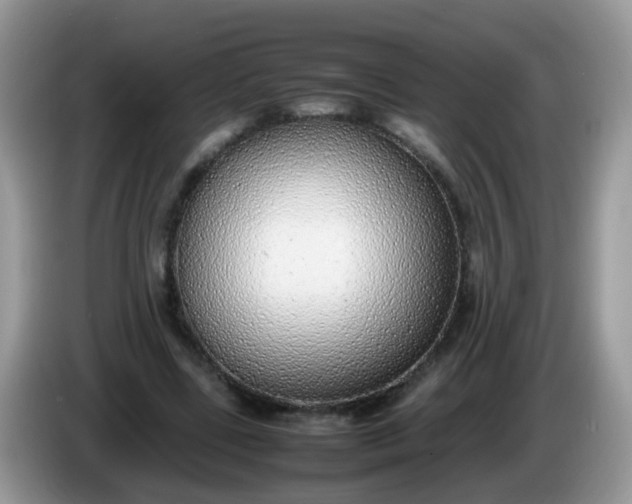X0000086240539200704121935