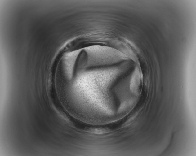 X0000086240540200704121935
