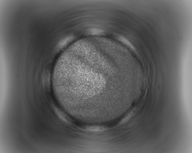 X0000086240542200704121935