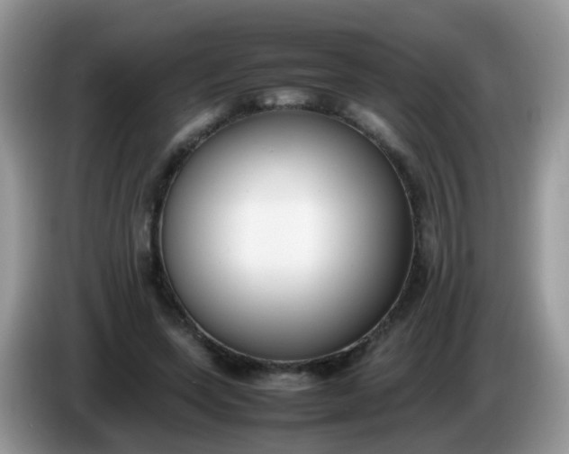 X0000086240543200704121935