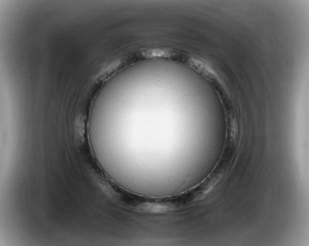 X0000086240545200704121935