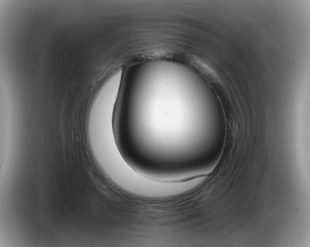 X0000086240546200704121935