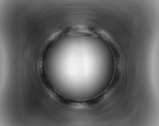 X0000086240548200704121935