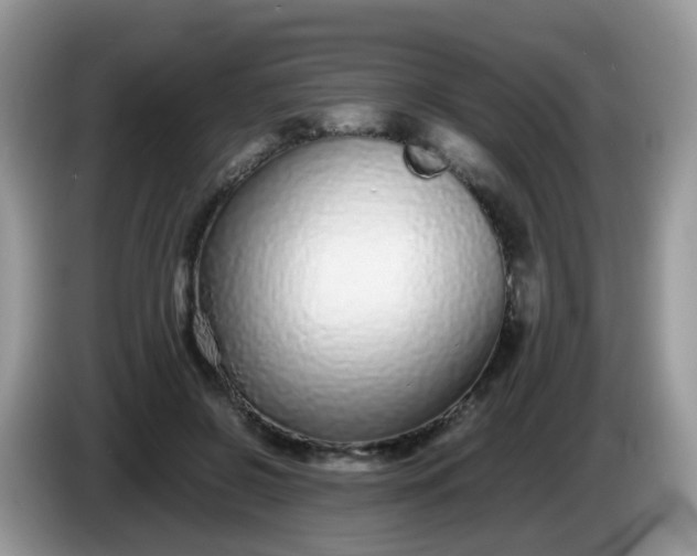 X0000086240550200704121935