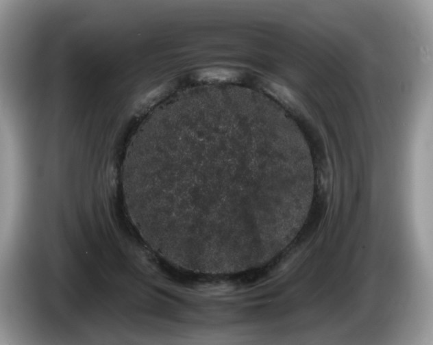 X0000086240551200704121935