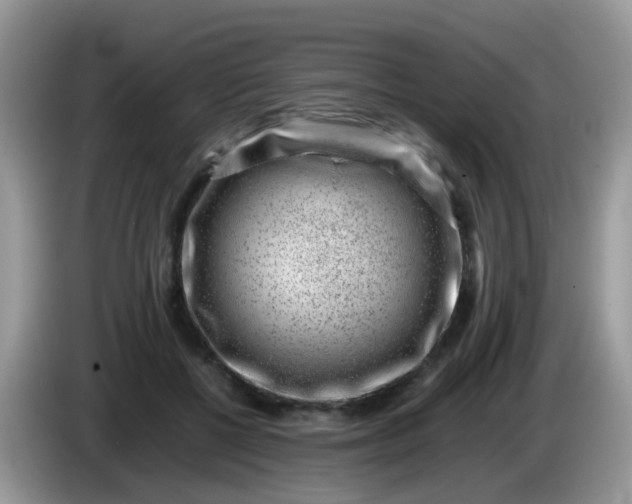 X0000086240552200704121935