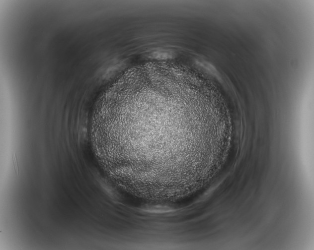 X0000086240553200704121935