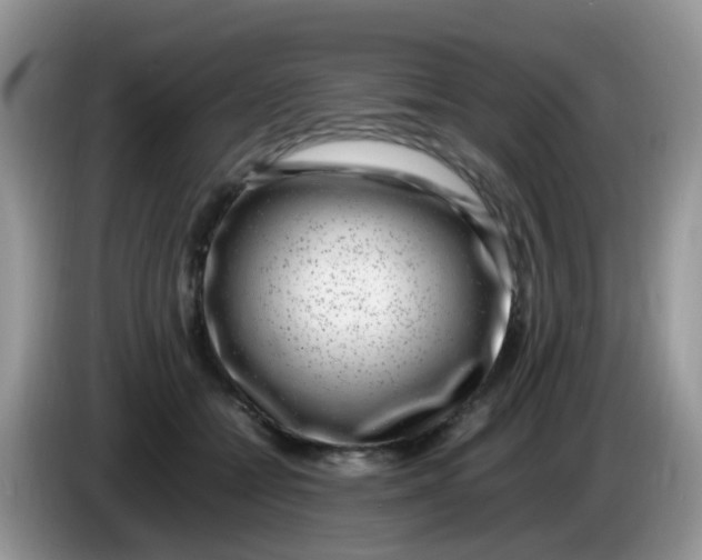 X0000086240558200704121935