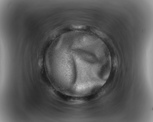 X0000086240559200704121935
