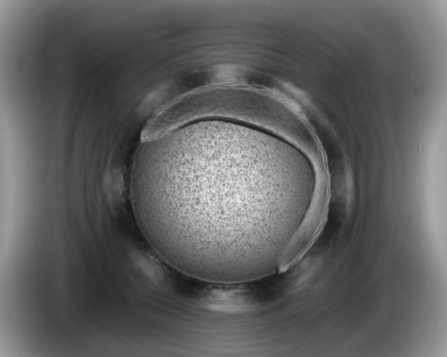 X0000086240560200704121935