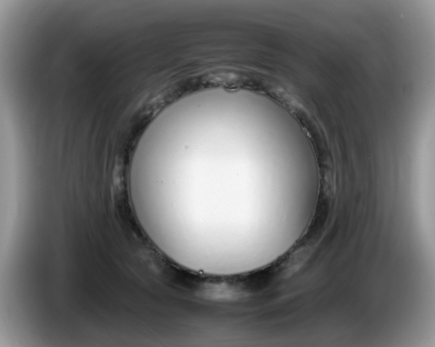 X0000086240561200704121935