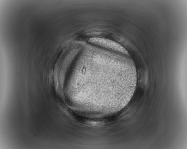 X0000086240563200704121935
