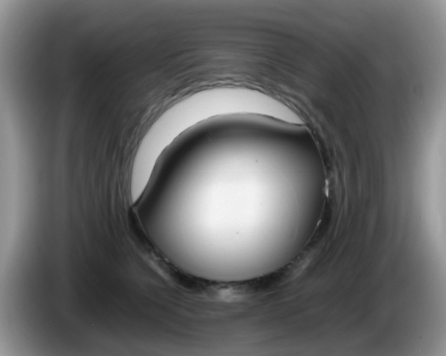 X0000086240564200704121935