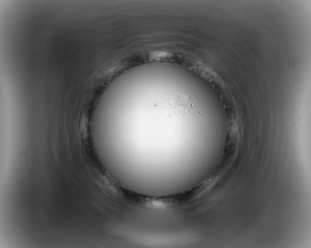 X0000086240565200704121935