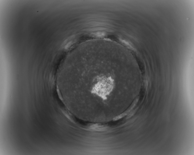 X0000086240568200704121935