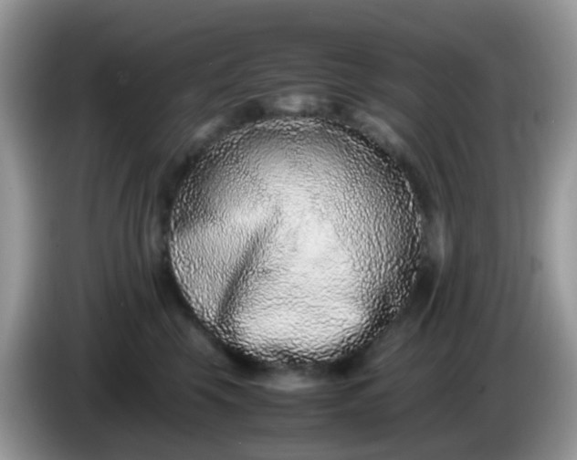 X0000086240569200704121935