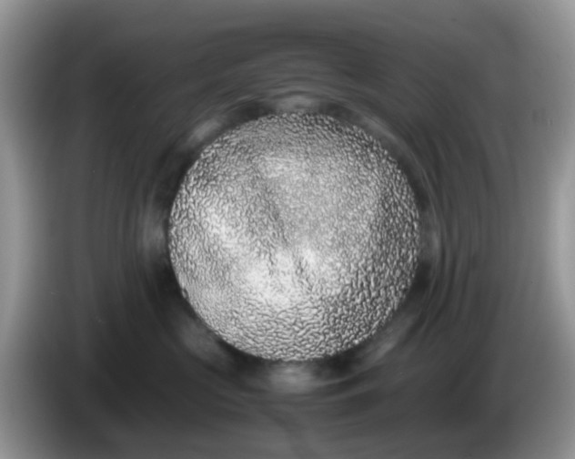 X0000086240573200704121936