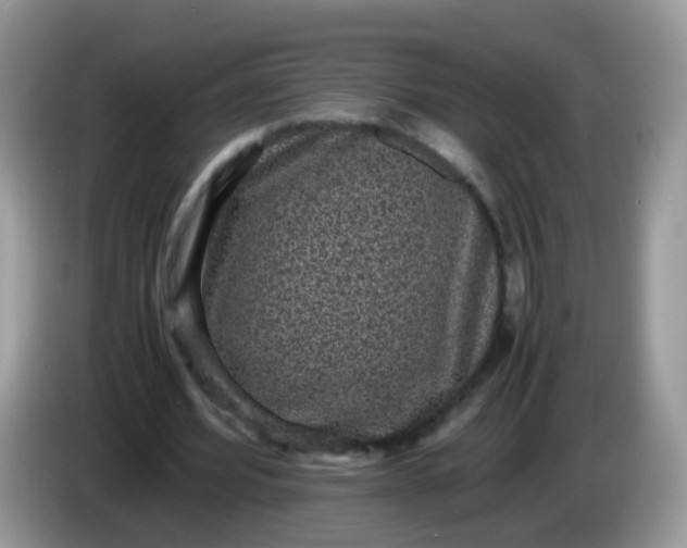 X0000086240580200704121935