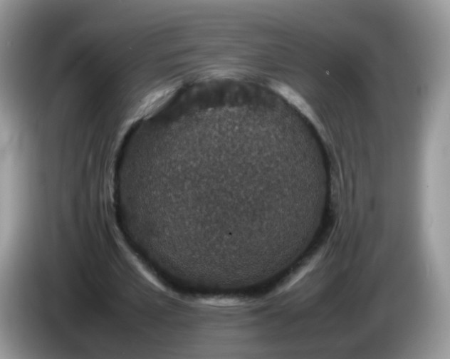 X0000086240581200704121935