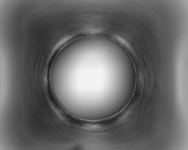 X0000086240582200704121935