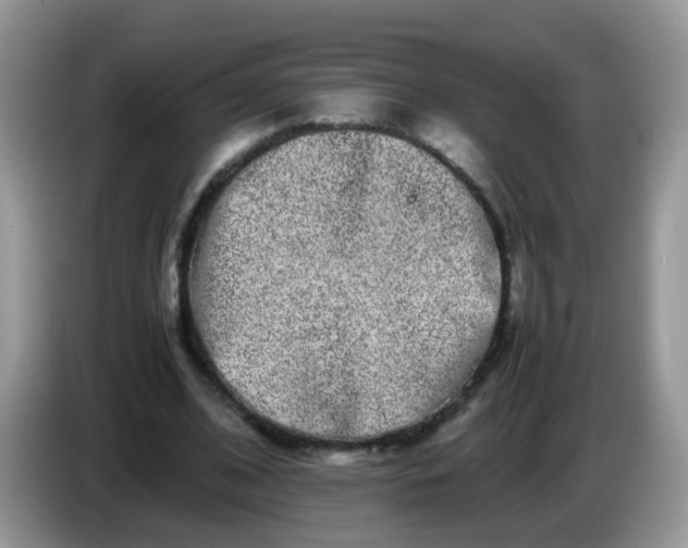 X0000086240584200704121935