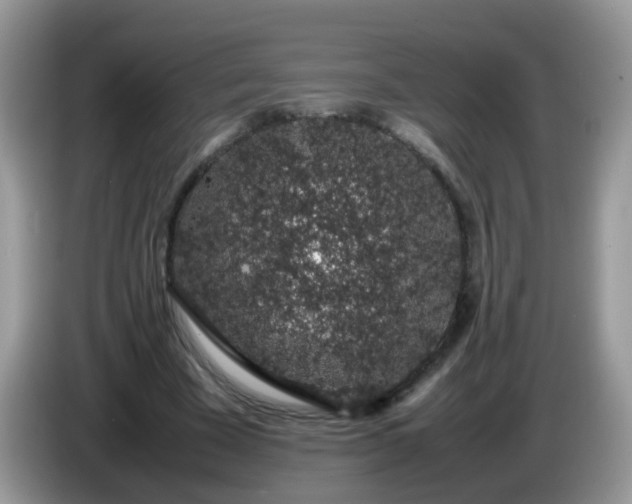 X0000086240585200704121935