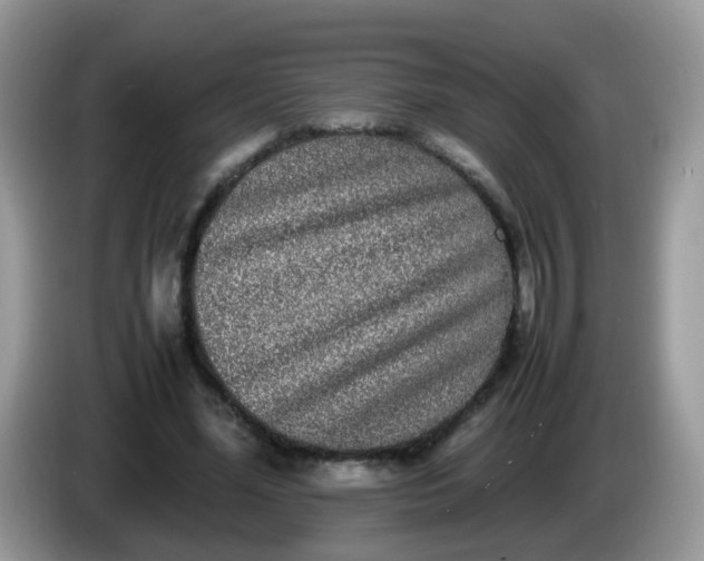 X0000086240588200704121935