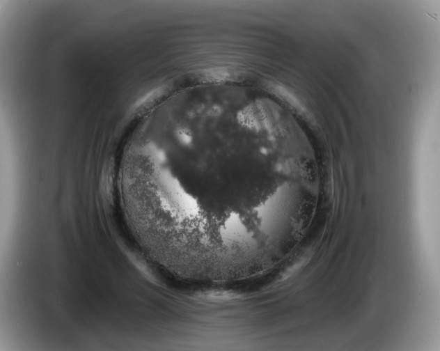 X0000086240590200704121935