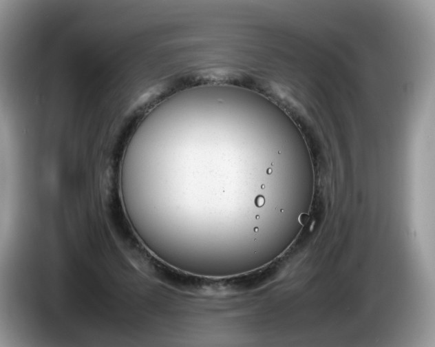 X0000086240591200704121935
