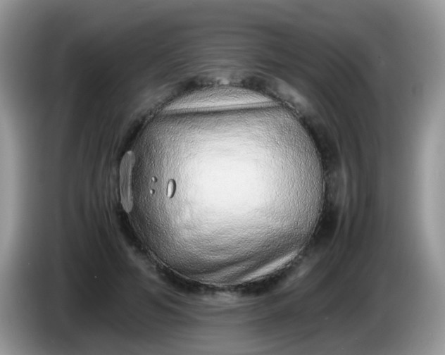 X0000086240594200704121935