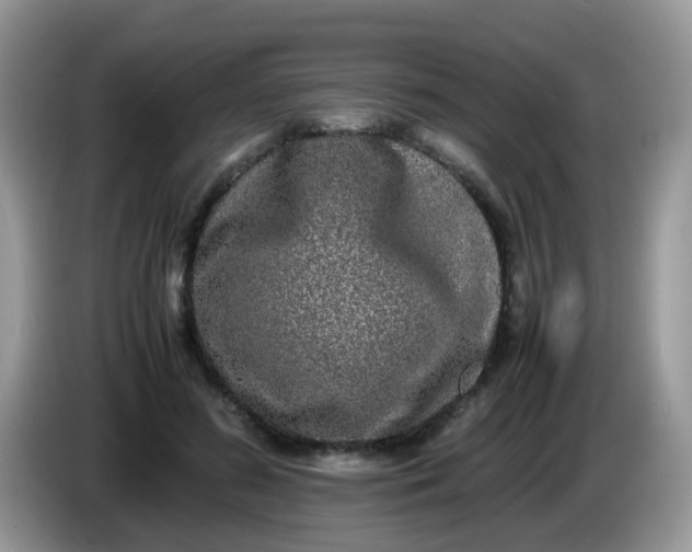 X0000086240596200704121935