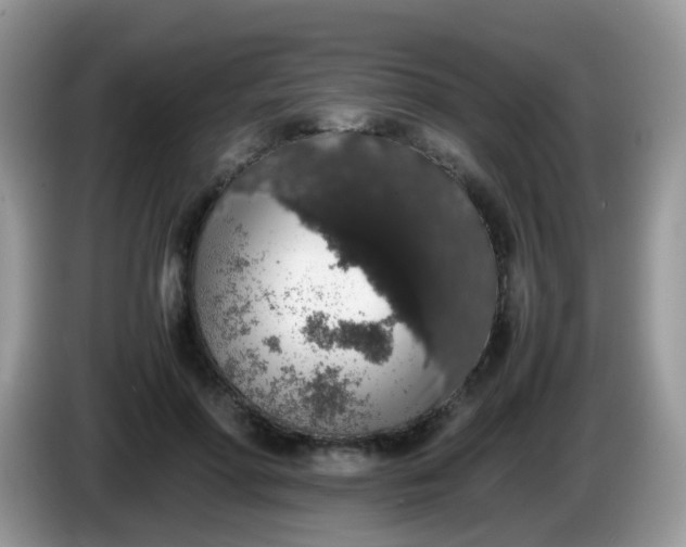X0000086240598200704121935