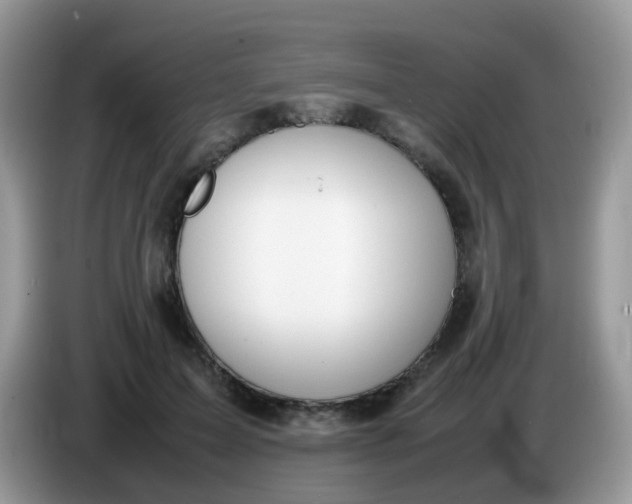 X0000086240599200704121935