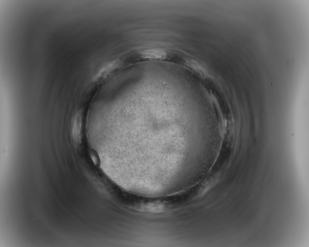 X0000086240600200704121935