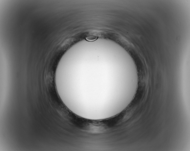 X0000086240603200704121935