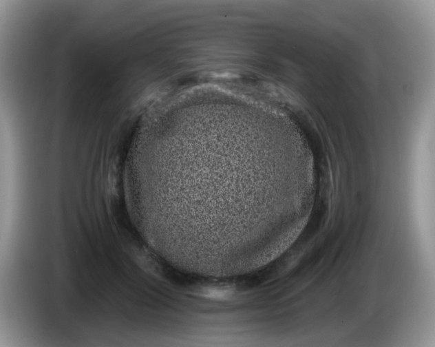 X0000086240604200704121935