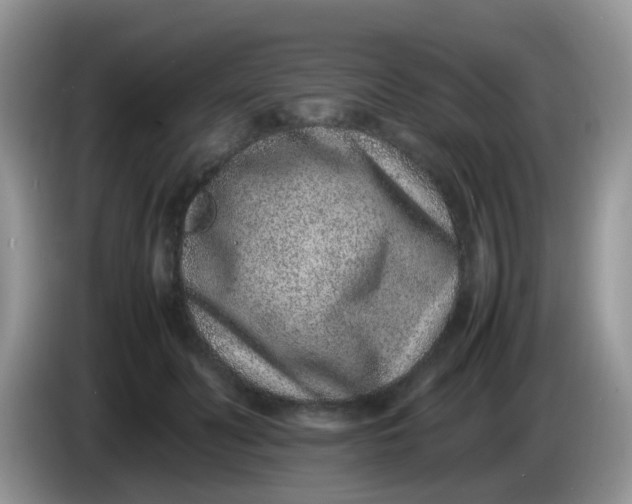 X0000086240606200704121935