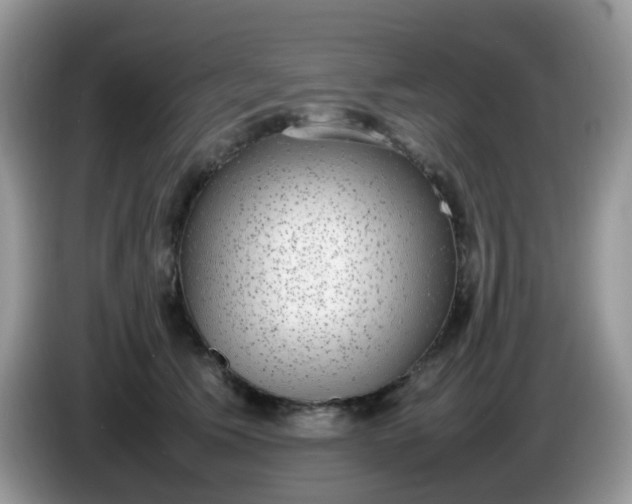 X0000086240609200704121935